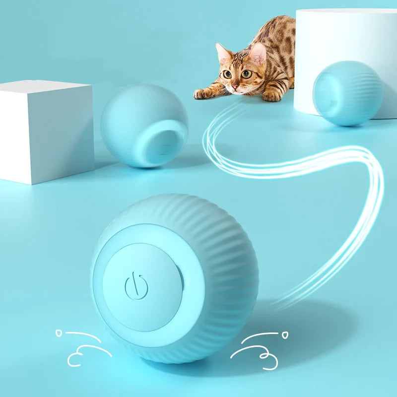 Innovativer Power Ball - Katzenspielzeug
