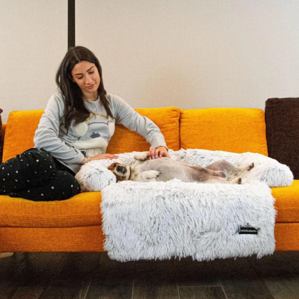 Waschbares Haustierbett für Hunde und Katzen - geeignet fürs Sofa, Auto, Bett und Boden