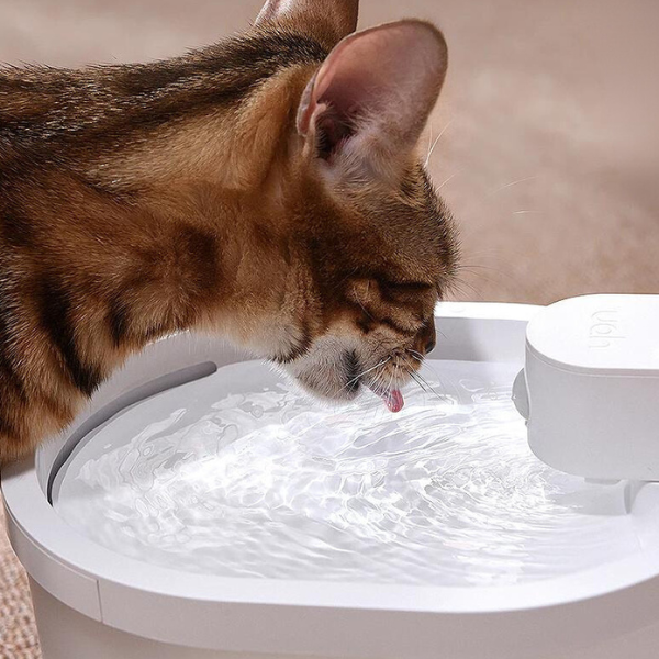 Automatischer, kabelloser Wasserspender für Haustiere mit innovativer Filtrationstechnologie - bis zu 120 Tage Akkulaufzeit