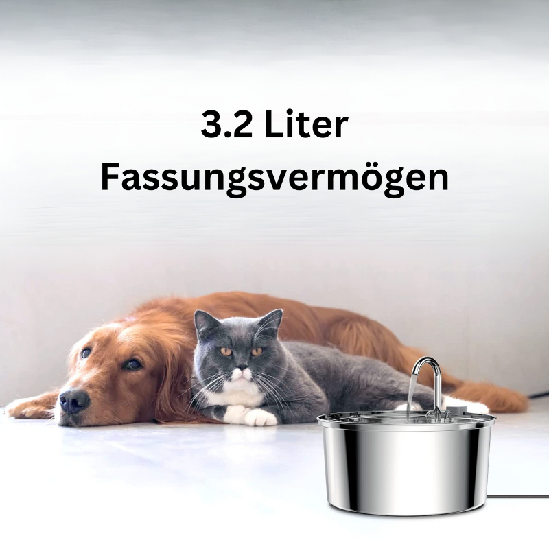 Edelstahl Wasserspender - Automatik Brunnen für Haustiere, 3.2 Liter