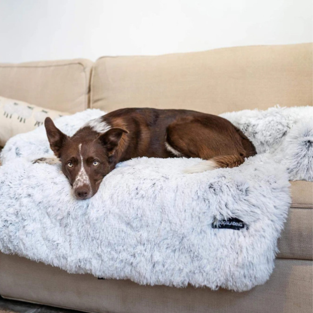Waschbares Haustierbett für Hunde und Katzen - geeignet fürs Sofa, Auto, Bett und Boden