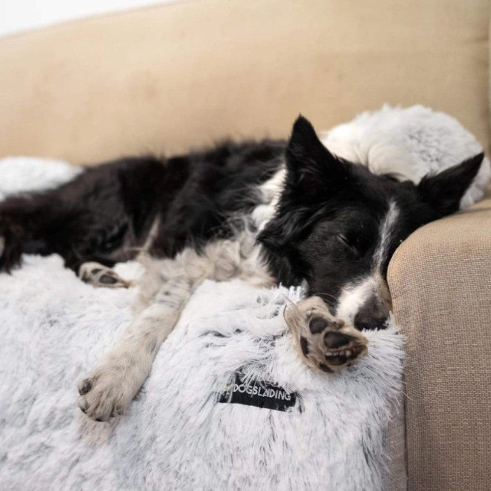 Waschbares Haustierbett für Hunde und Katzen - geeignet fürs Sofa, Auto, Bett und Boden