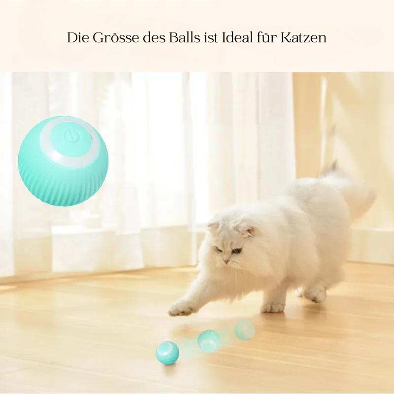 Innovativer Power Ball - Katzenspielzeug